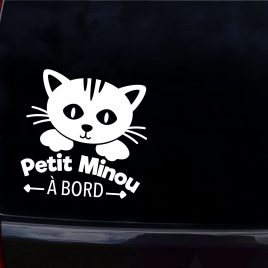 Autocollant bébé à bord petit minou
