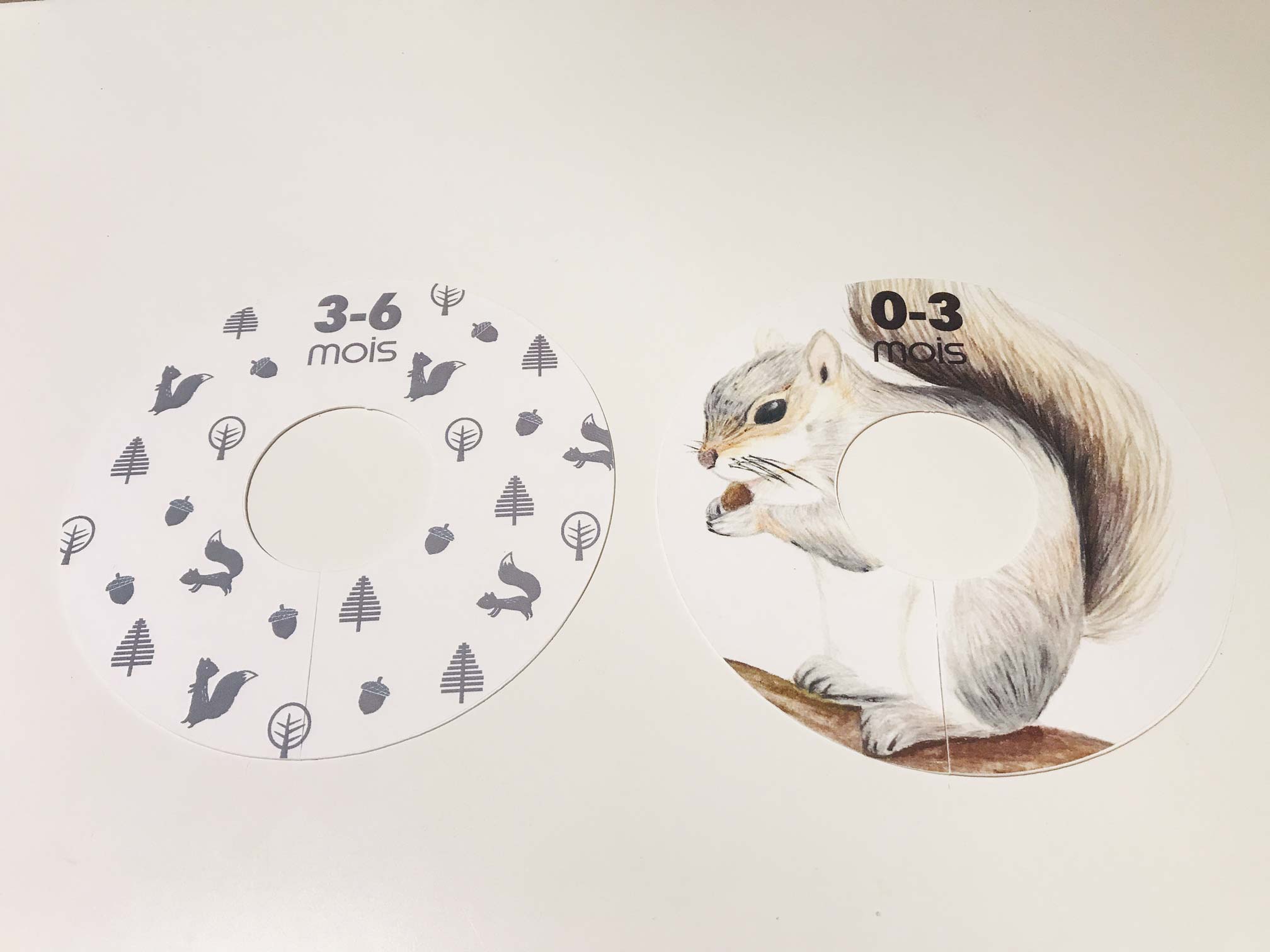 photo séparateur penderie écureuils