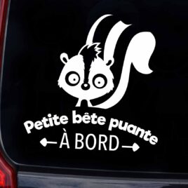 Autocollant pour voiture petite bête puante à bord