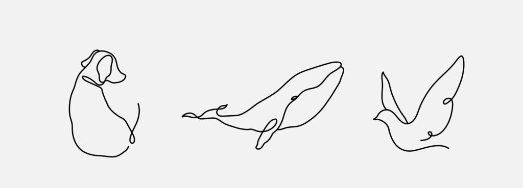 exemple illustration en line art