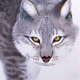 Oeil de fauve est une toile originale sur toile peinte à l'acrylique.